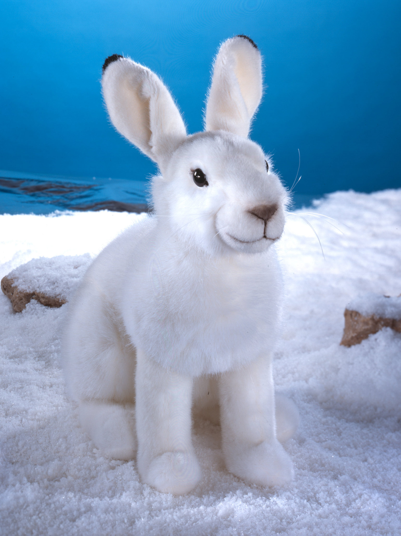 Кролик из снега