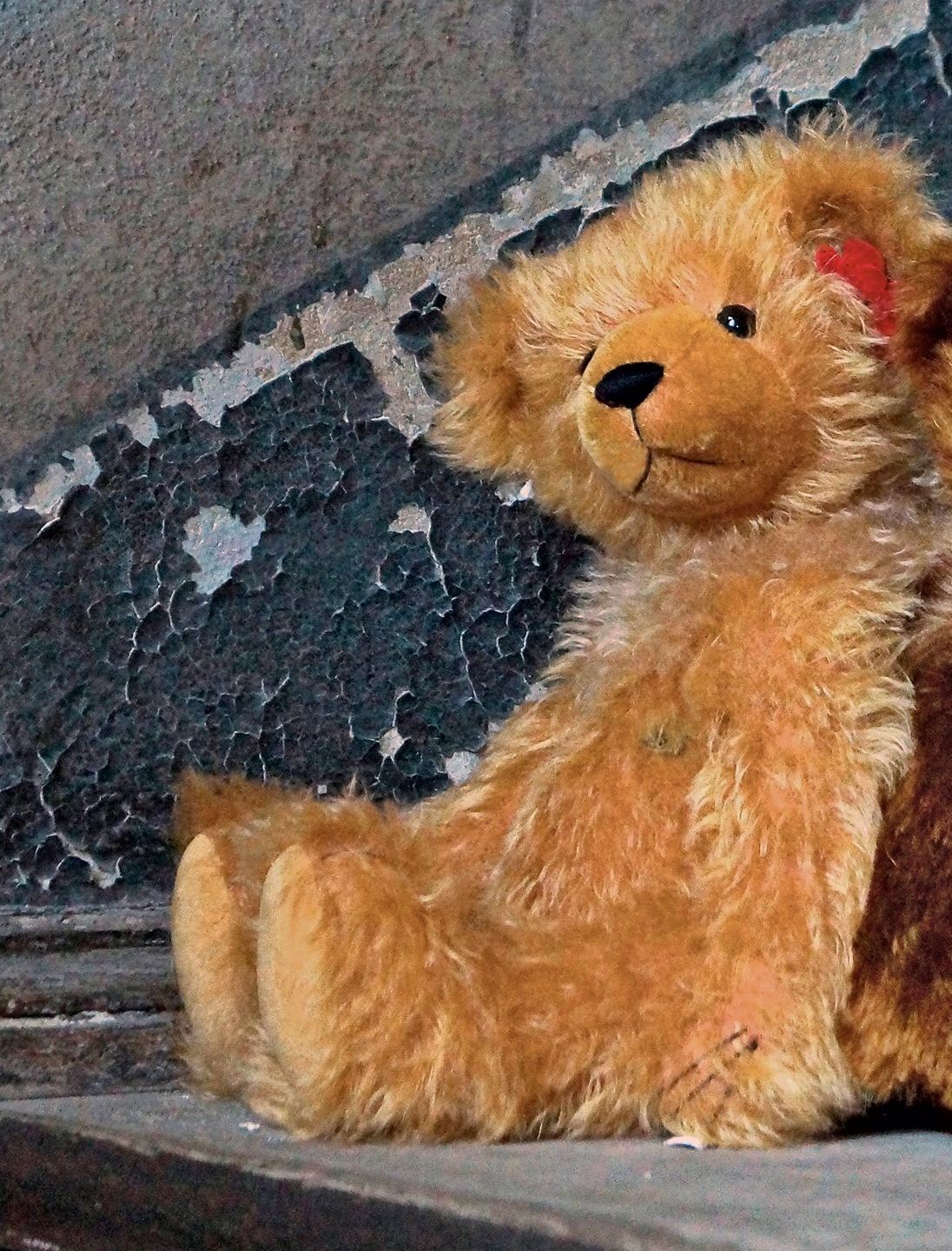 6660 “Charlotte” Teddy Bear