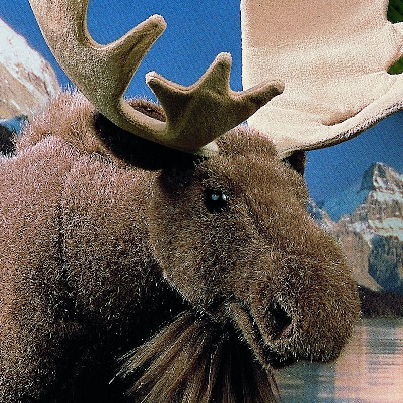 life size moose stuffed animal
