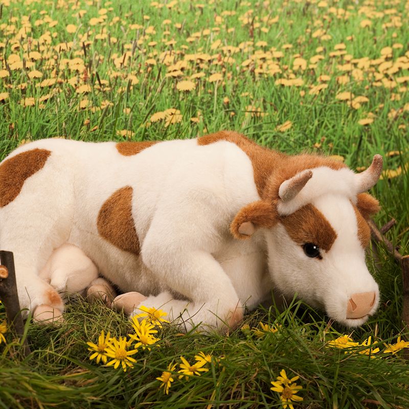 Life size shop stuffed cow