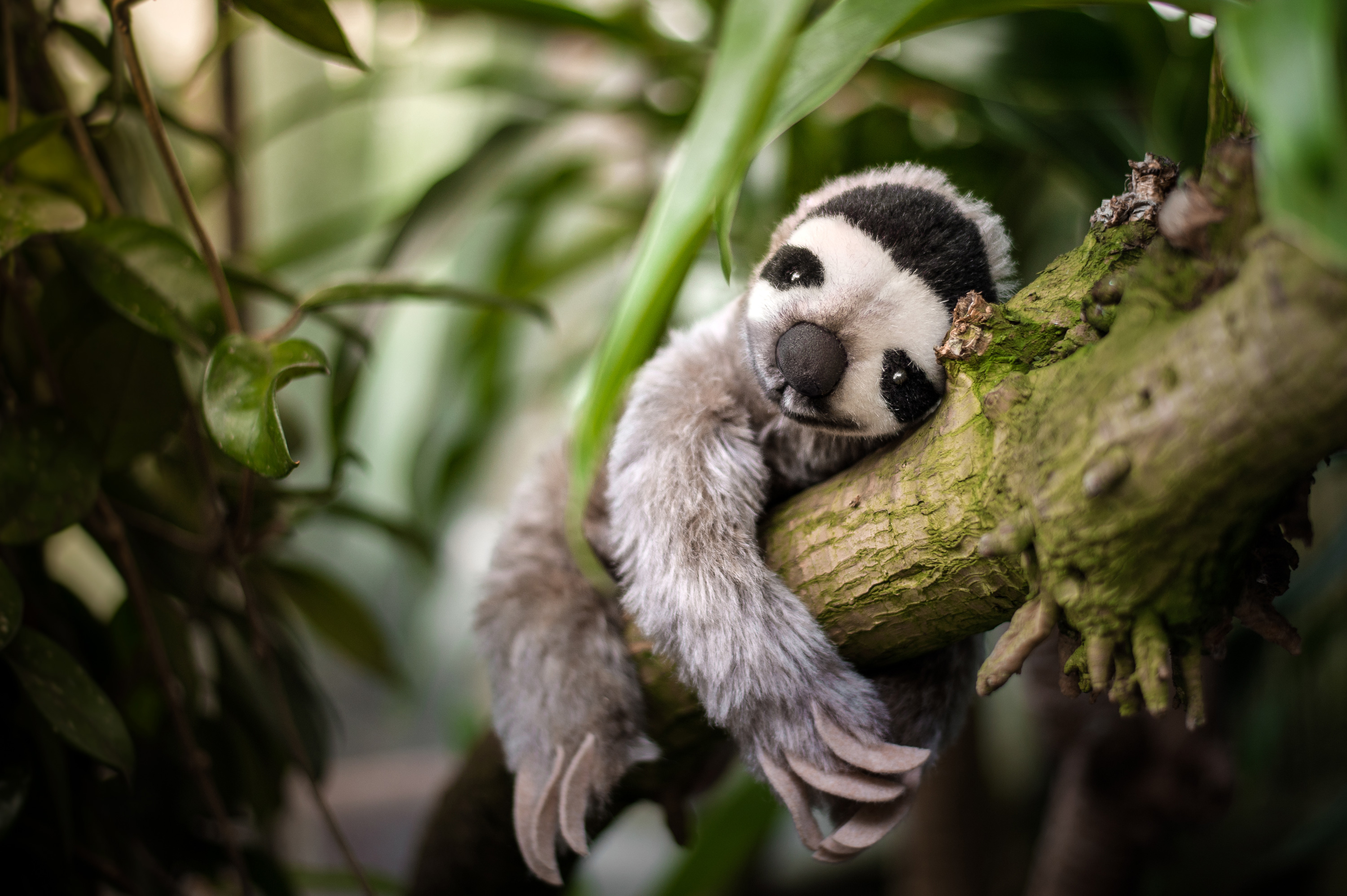 lifelike sloth
